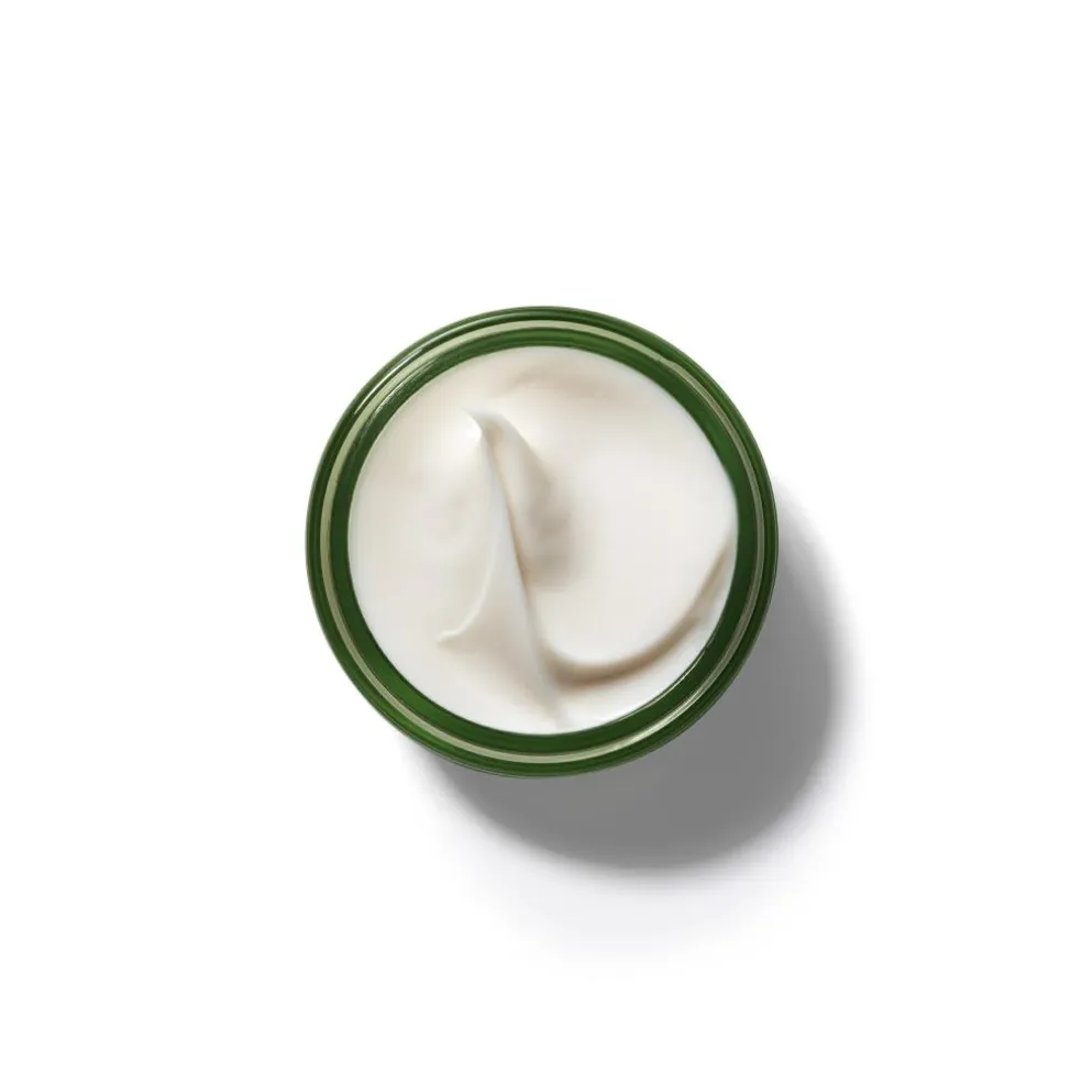 A Perfect World Antioxidant Moisturizer with White Tea