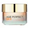 Age Perfect Golden Age SPF20 Day Cream