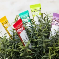 ALANTOÍNE Lip Cream