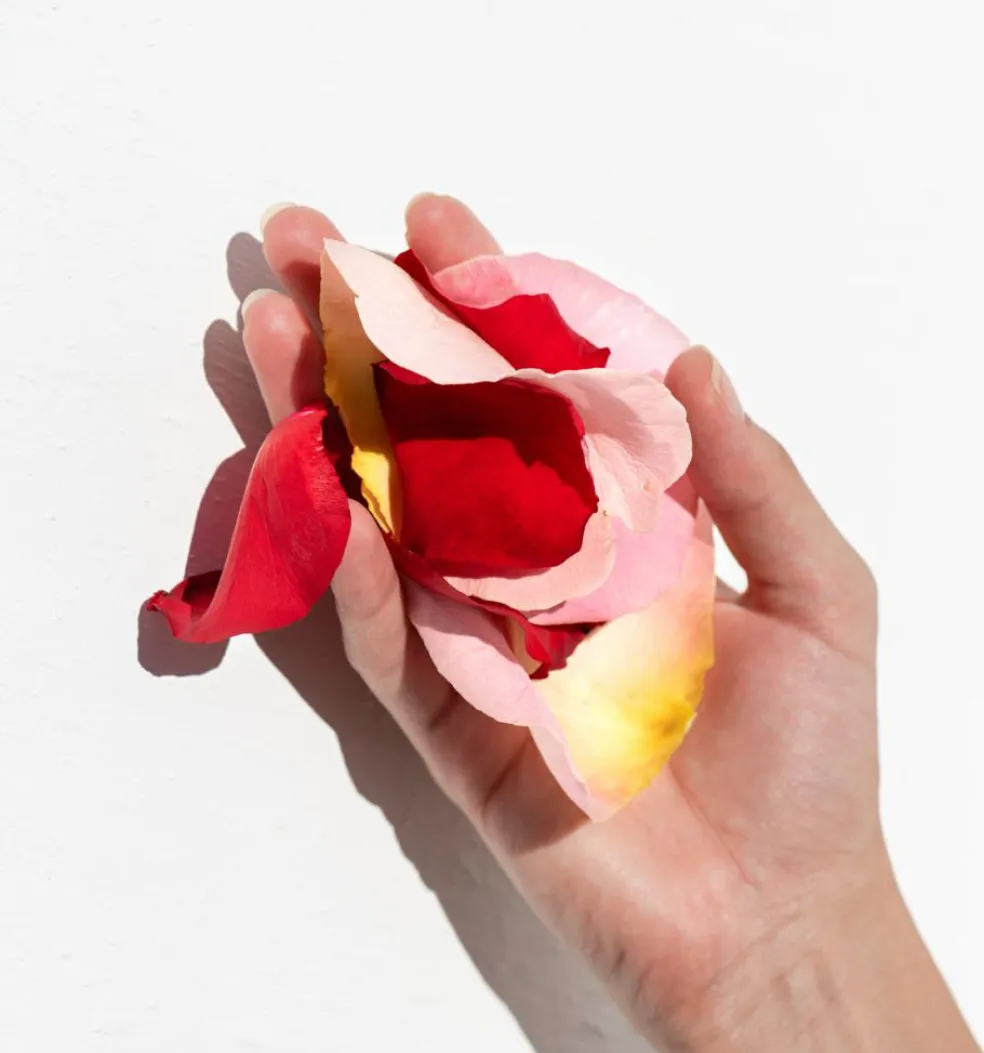 Apothecary Wild Rose Night-Brightening Sleeping Facial