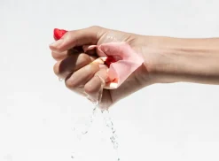 Apothecary Wild Rose Spotless Serum