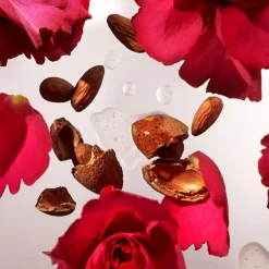 Ayurveda Large Gaveæske