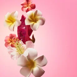 Biggie Biggie Beija Flor