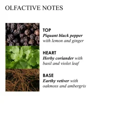 Black Pepper Body Lotion