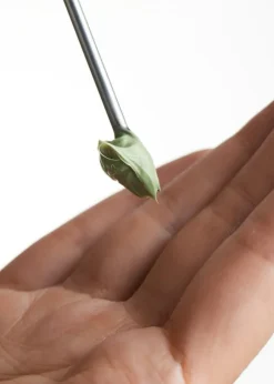 Calm Face Creme SPF 30