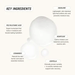 Cloud Glaze Hydrating Barrier Essence