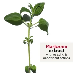 Coutour Body Treatment Oil