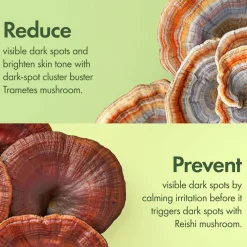 Dr. Weil Mega-Mushroom Dark Spot Correcting Brightening Serum