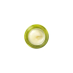 Drink Up Nourishing Avocado Lip Butter