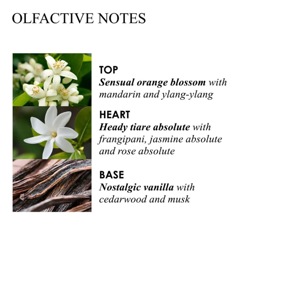 Flora Luminare Hand Lotion