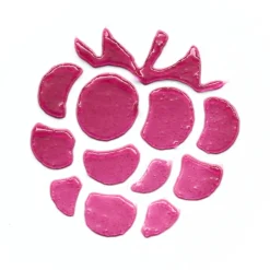 Juicy Berry Tinted Lip & Cheek Balm