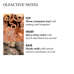 Mesmerising Oudh Accord & Gold Precious Body Oil