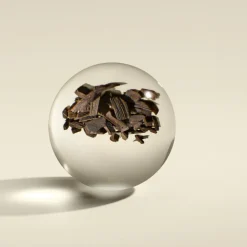 Mesmerising Oudh Accord & Gold Precious Body Oil