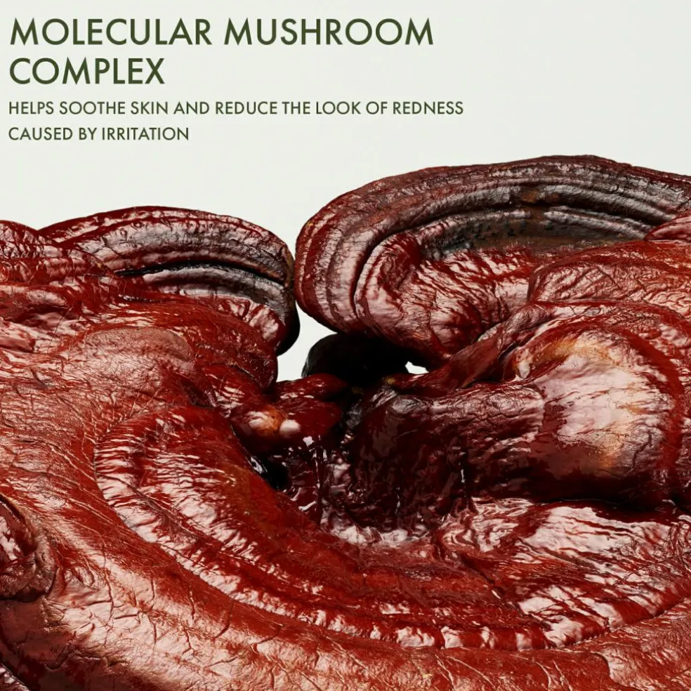 Musroom Restorative Skin Concentrate With Reishi & Centella