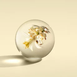 Orange & Bergamot Hand Cream