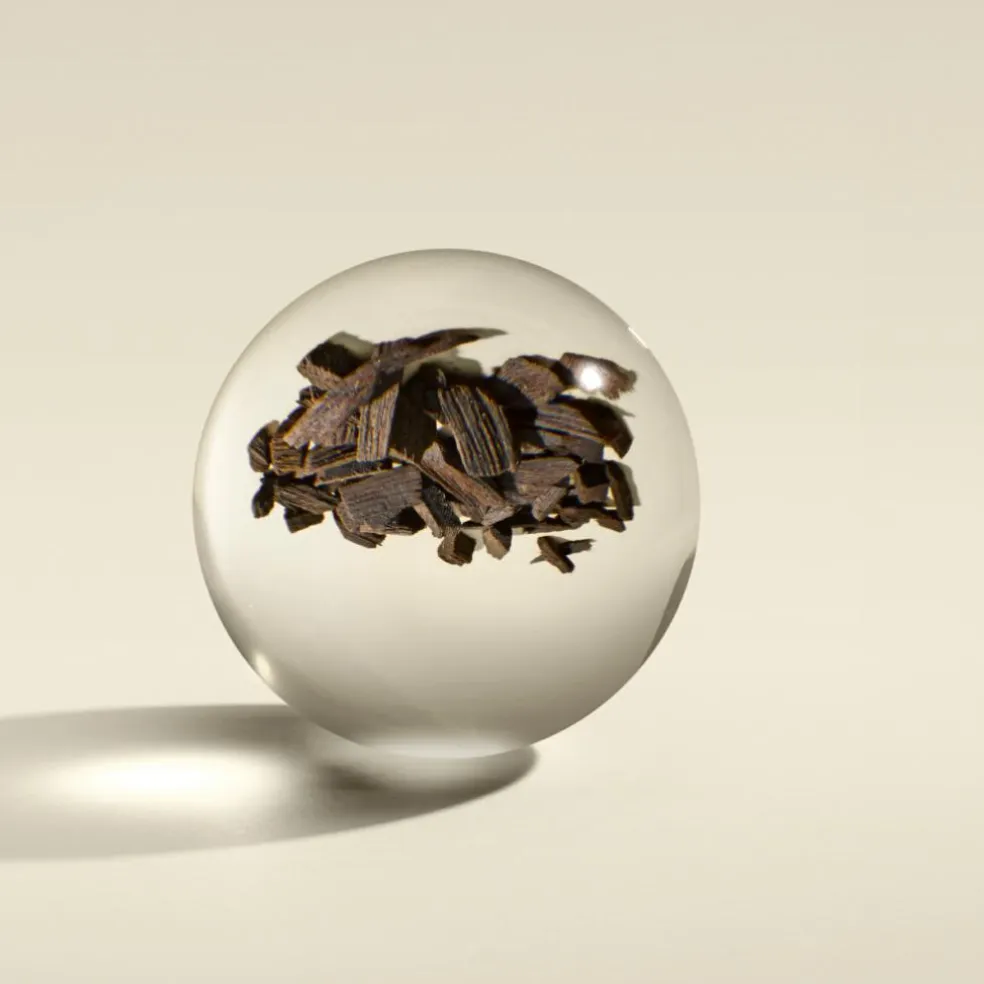 Oudh Accord & Gold Hand Lotion