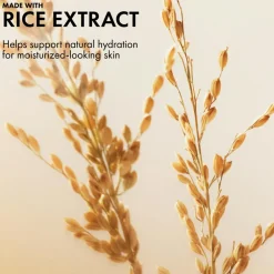 Plantscription Lifting + Firming Cream