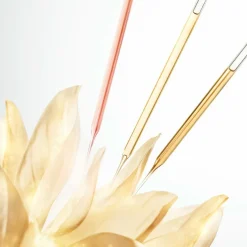 Prodigy Cell Glow Concentrate