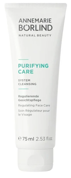 PURIFYING CARE Regulating Face Care