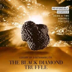 Re-Nutriv Ultimate Diamond Transformative Energy Crème