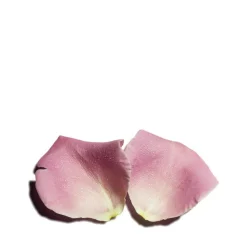 Rosto Cleansing Milk