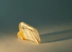 Sculpting Face Gua Sha