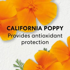 Skinlongevity Long Life Herb Eye Treatment