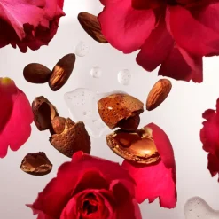 The Ritual Of Ayurveda Hand Wash Refill