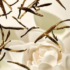 The Ritual of Karma Shampoo & Body Bar