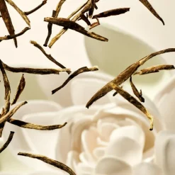 The Ritual of Karma Small Gaveæske