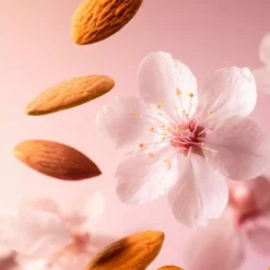 The Ritual of Sakura Shower Oil