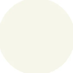 The Super Balm Glossy Lip Treatment