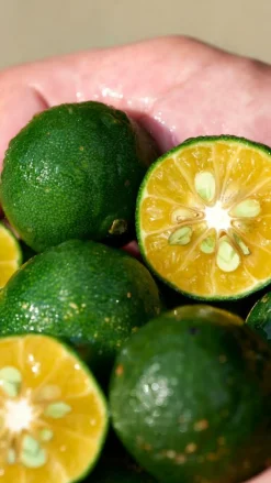 Waso Shikulime Gel-to-Oil Cleanser