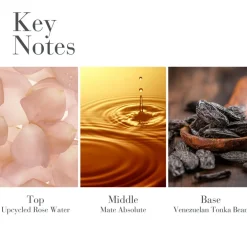 White Tea Body Water Cream