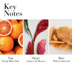 White Tea Ginger Lily Body Cream