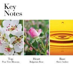 White Tea Wild Rose Body Cream