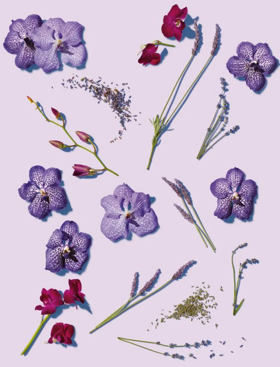 Wrinkle Blur Bakuchiol Eye Gel Creme